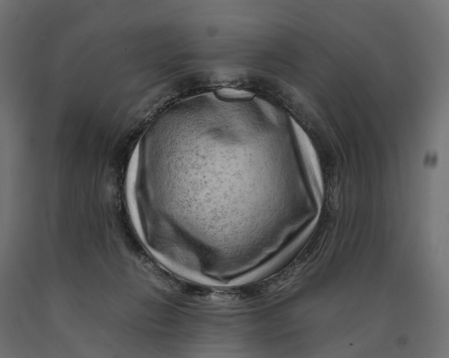 X0000090430270200708031136