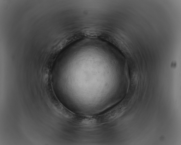 X0000090430271200708031137