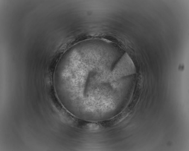 X0000090430272200708031137