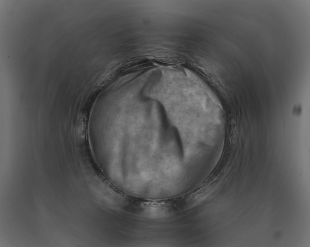 X0000090430273200708031137