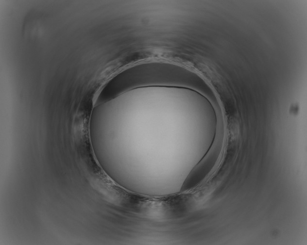 X0000090430276200708031137