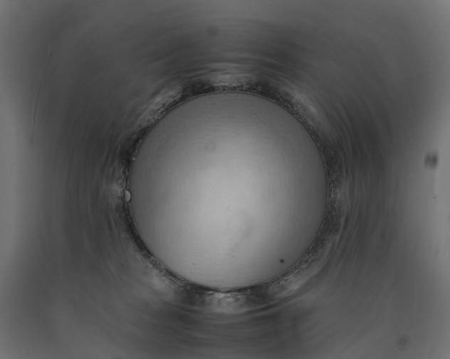 X0000090430277200708031137