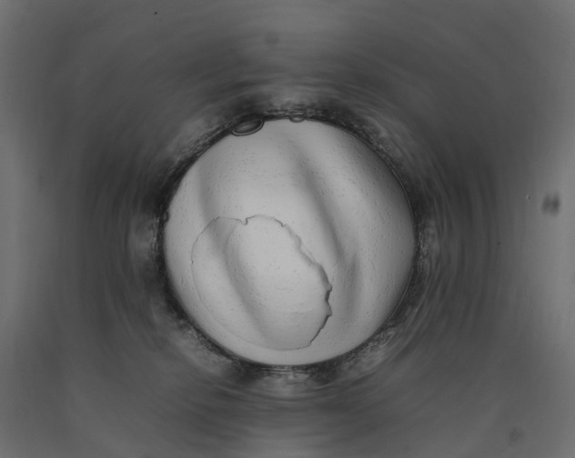 X0000090430278200708031137