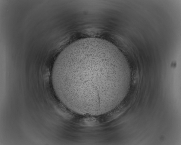 X0000090430279200708031137