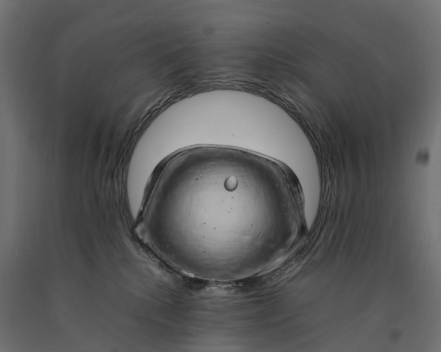 X0000090430280200708031137