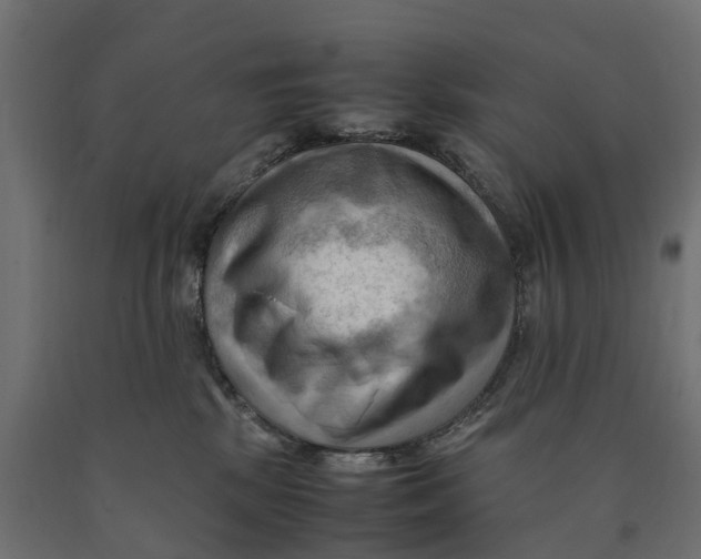 X0000090430281200708031137