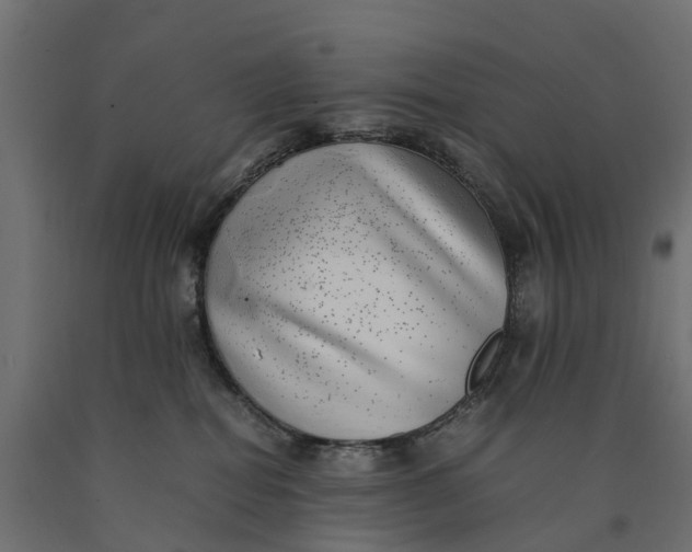 X0000090430282200708031137