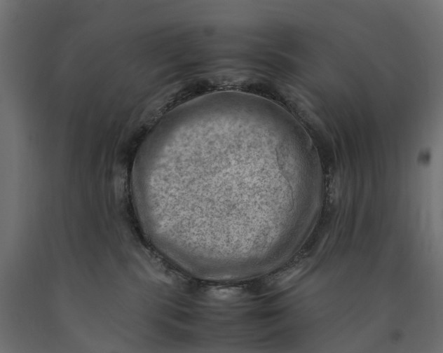 X0000090430283200708031137