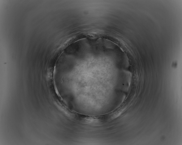 X0000090430284200708031137