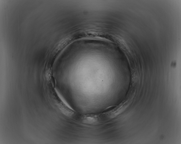 X0000090430285200708031137