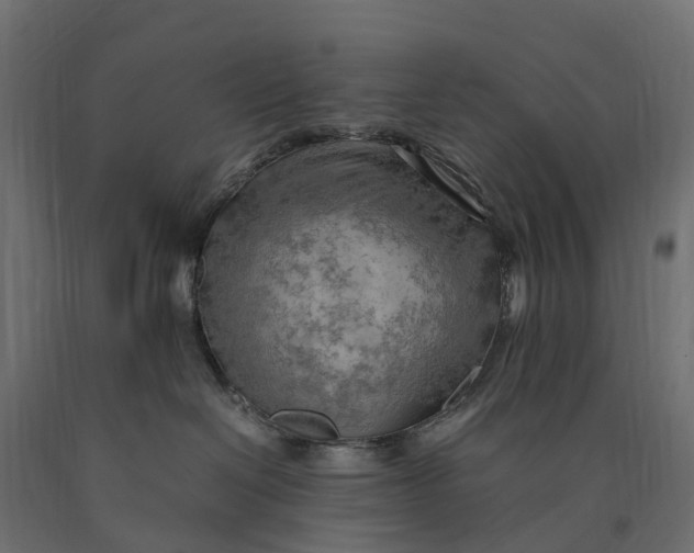 X0000090430286200708031137