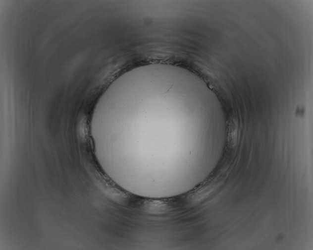 X0000090430287200708031137