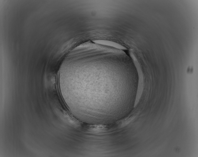 X0000090430288200708031137