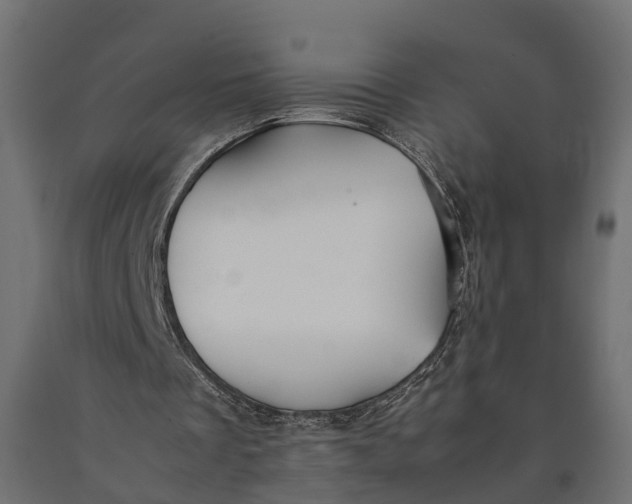 X0000090430289200708031136