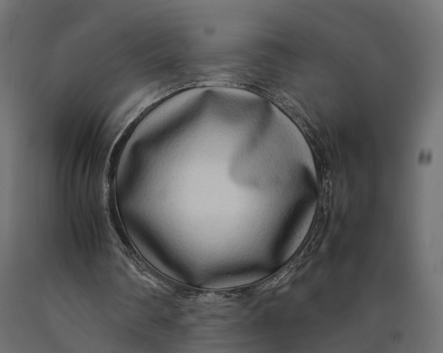 X0000090430290200708031136