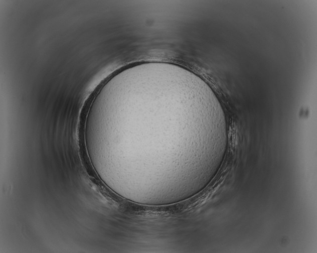 X0000090430292200708031136