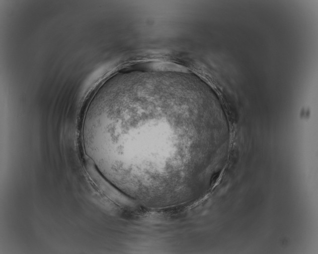 X0000090430293200708031136