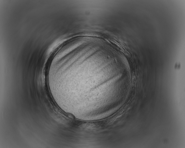X0000090430294200708031136