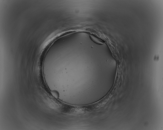 X0000090430295200708031136