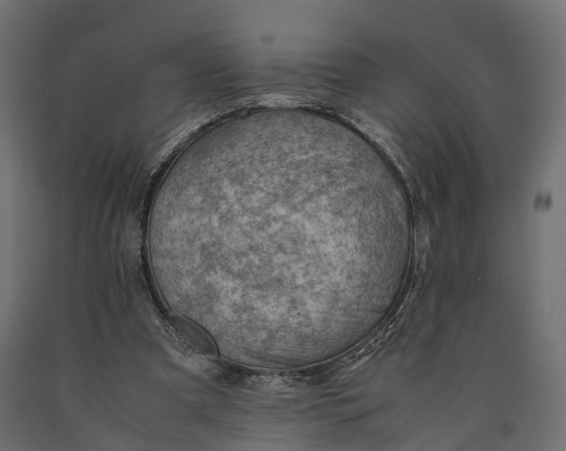 X0000090430297200708031136