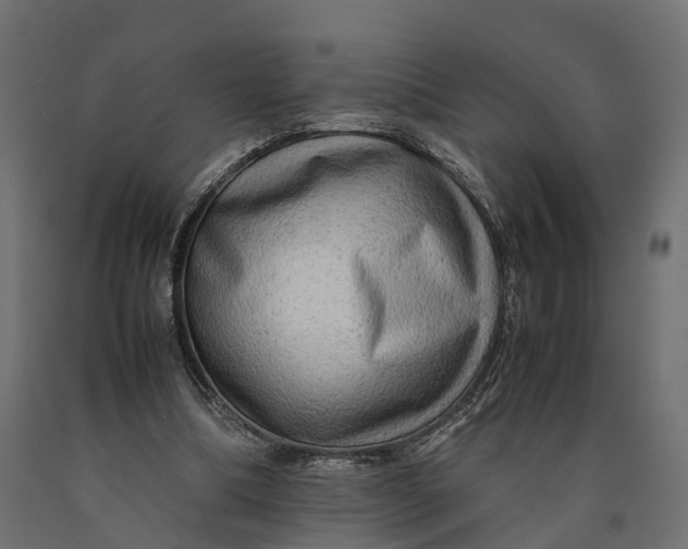 X0000090430298200708031136