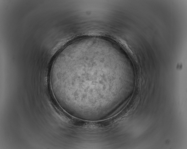 X0000090430299200708031136