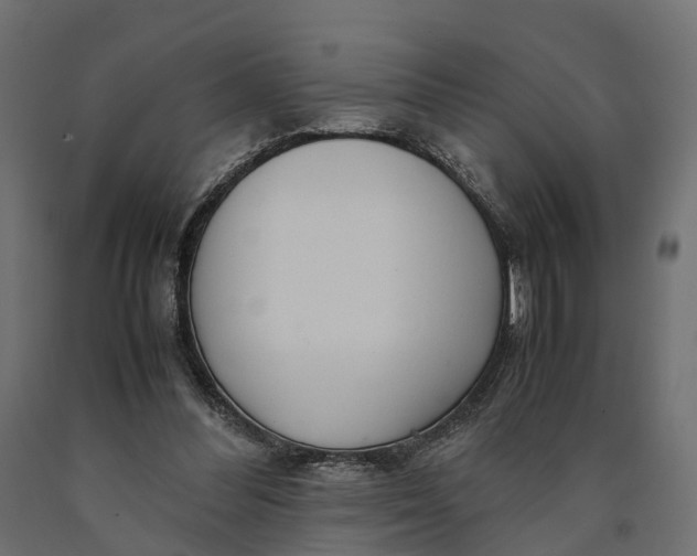 X0000090430300200708031136