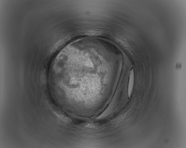 X0000090430303200708031136