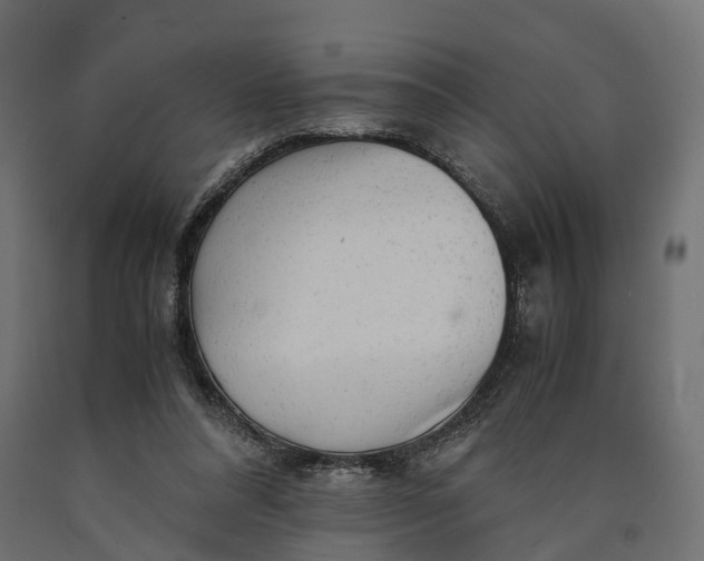 X0000090430304200708031136