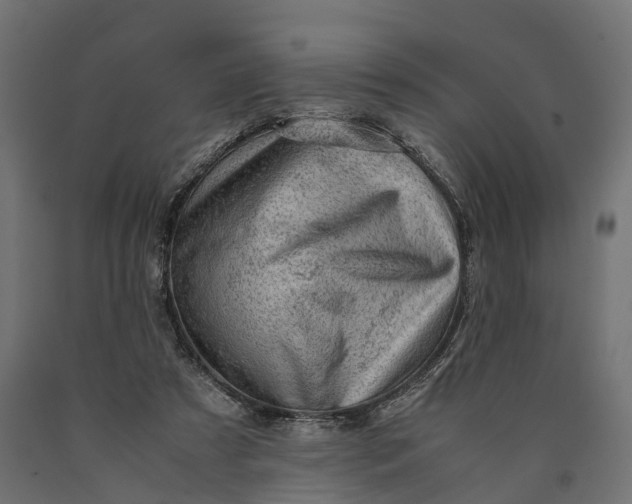 X0000090430305200708031136