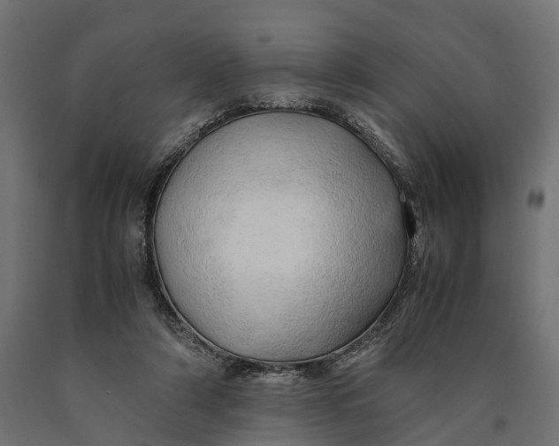 X0000090430306200708031136