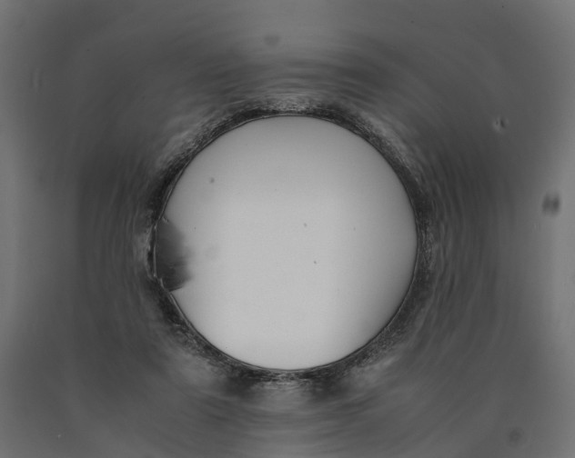 X0000090430307200708031136