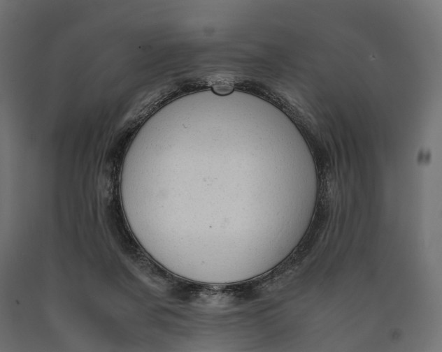 X0000090430311200708031136