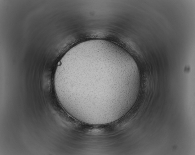 X0000090430312200708031136