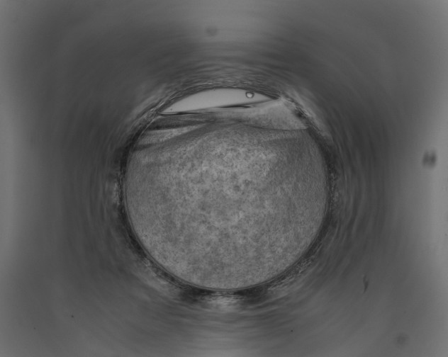 X0000090430313200708031136
