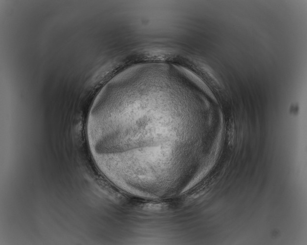 X0000090430314200708031136