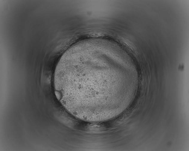 X0000090430315200708031136