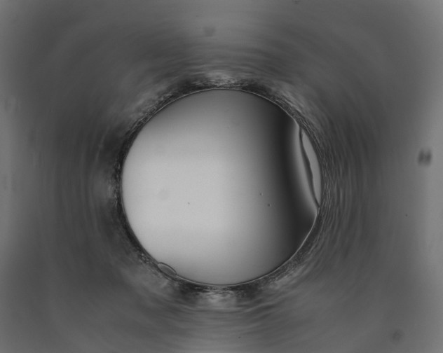X0000090430317200708031136