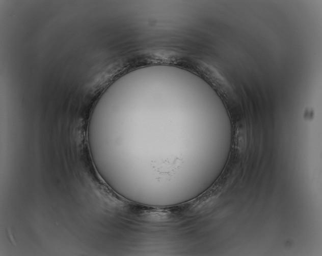 X0000090430318200708031136