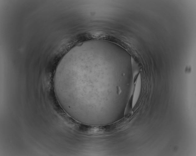 X0000090430319200708031135