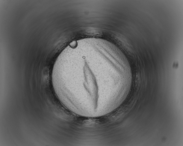 X0000090430320200708031135