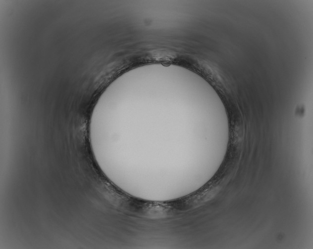 X0000090430321200708031135