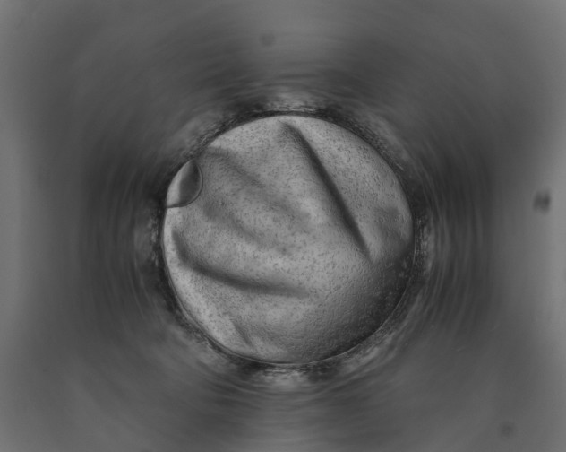 X0000090430322200708031135