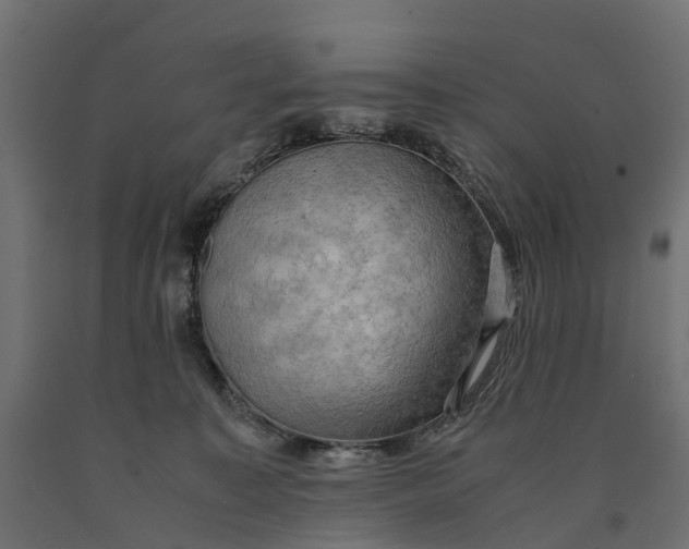 X0000090430323200708031135
