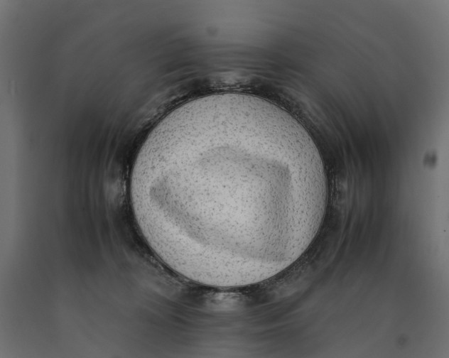 X0000090430324200708031135