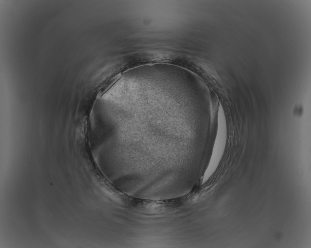 X0000090430325200708031135