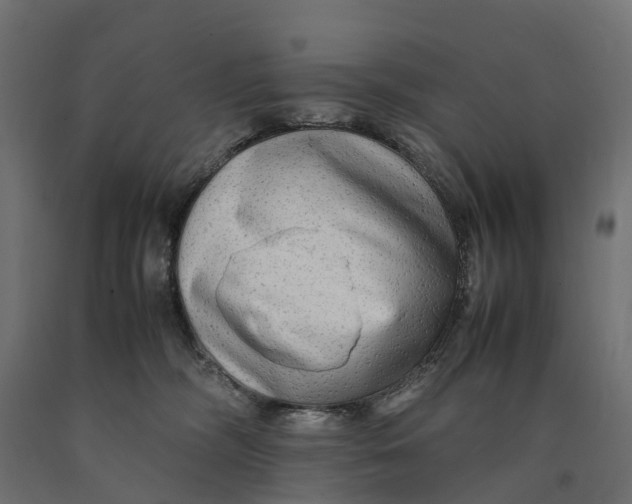 X0000090430326200708031135