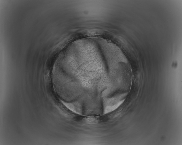 X0000090430327200708031135