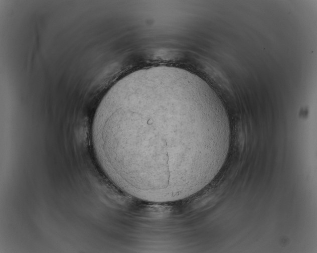 X0000090430328200708031135