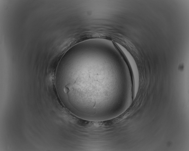 X0000090430329200708031135